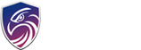 对方的